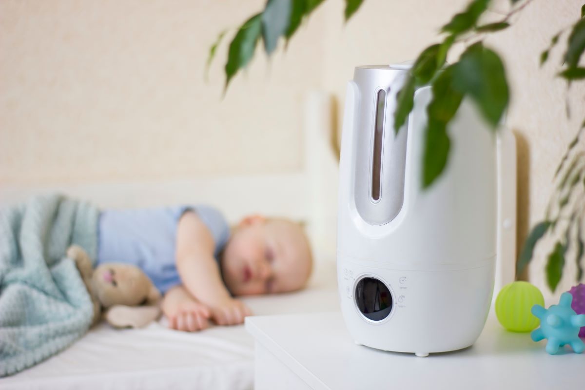 Humidificateur d