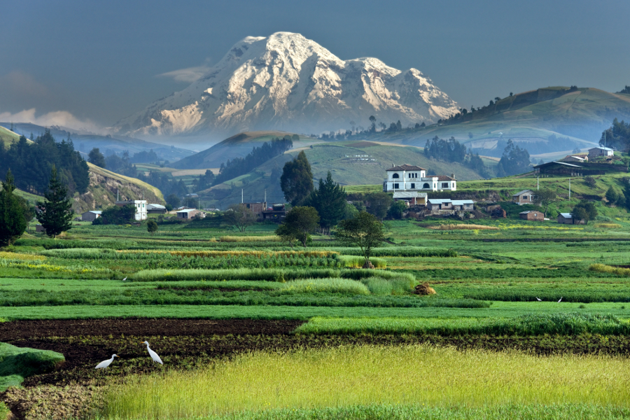 chimborazo équateur