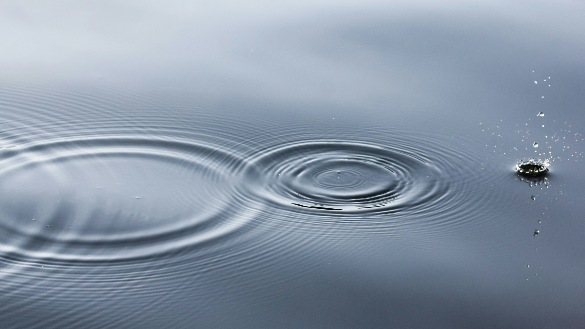 La valorisation des effluents urbains : une solution durable pour l'environnement