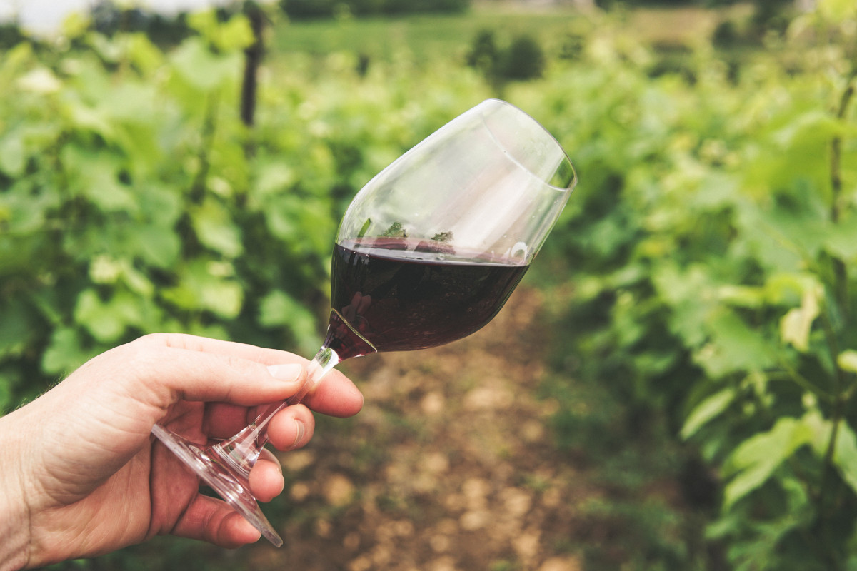 terroir ideal